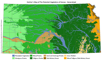 kuchler_level1_title